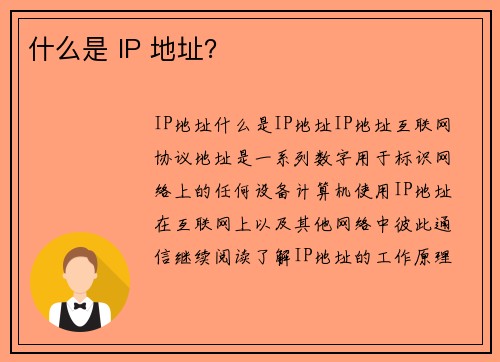 什么是 IP 地址？